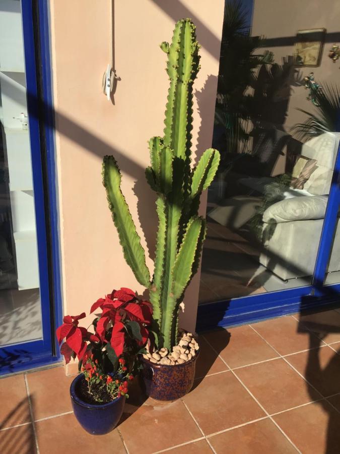 Atalaya Dreams Apartment